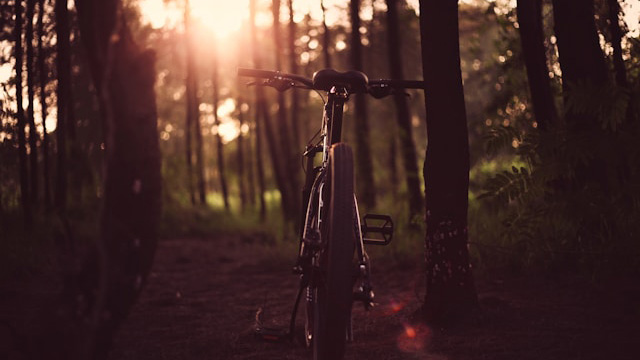 Rekentool Parkeerbehoefte Fiets